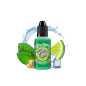 CONCENTRE MOJITO 30ML