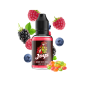 CONCENTRE JOYS 30ML