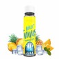 FREEZE MANANAS 50ML