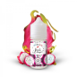 CONCENTRE FRUIT DU DRAGON 30ML LE COQ
