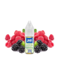 BLACKBERRY RED RASPBERRY NIC SALT 20MG 10ML JNR
