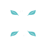 THE FUU SPÉCIALITÉS 